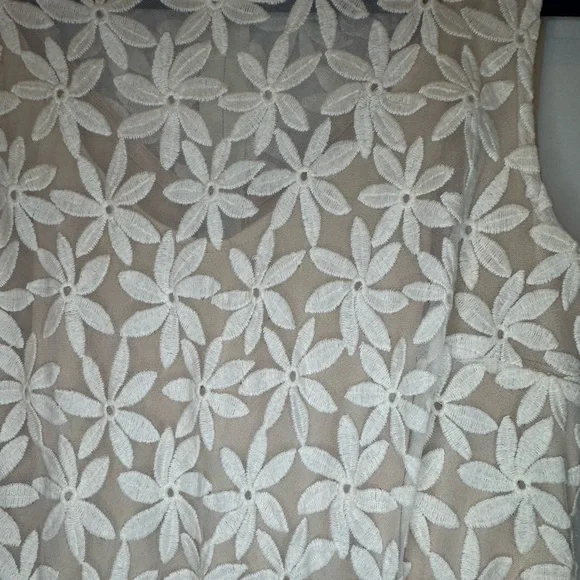 Luxology Cream Flower Embroidered Dress size 12 - Picture 3 of 6